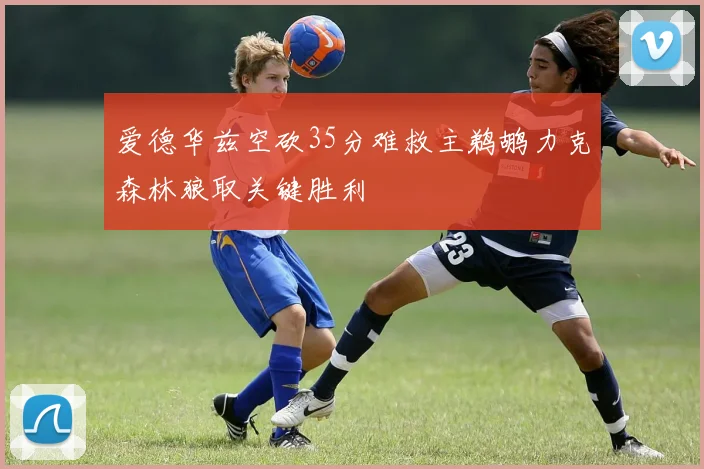 爱德华兹空砍35分难救主鹈鹕力克森林狼取关键胜利