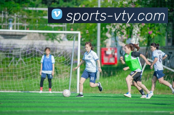 V体育InternationalAPP 封面图